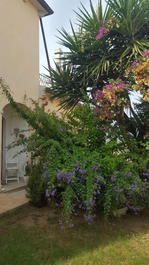 B&B Villa Orchidea Олбия Екстериор снимка