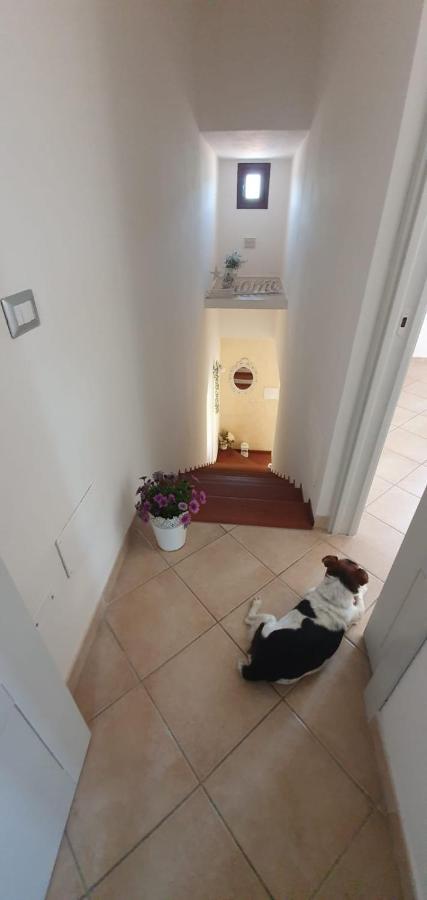 B&B Villa Orchidea Олбия Екстериор снимка